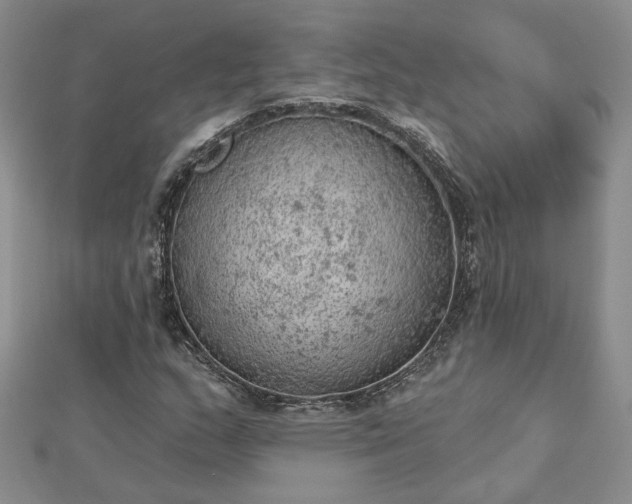 X0000112781159200908271657