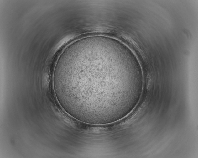 X0000112781163200908271657