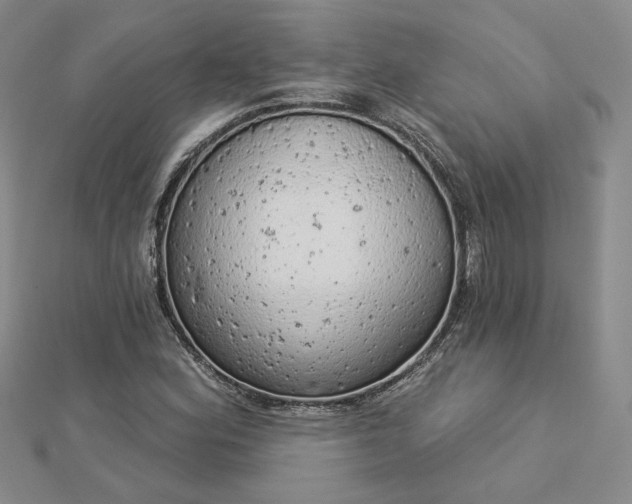 X0000112781164200908271657