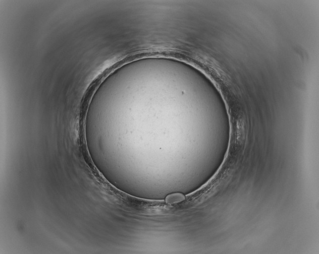 X0000112781165200908271657