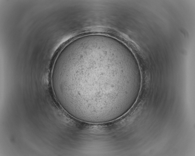 X0000112781166200908271657