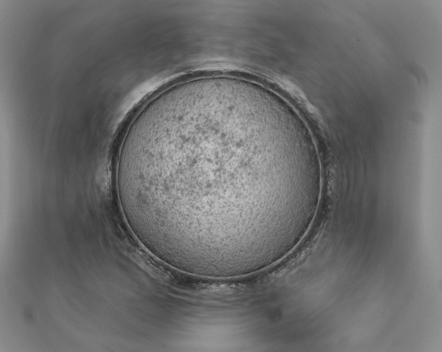 X0000112781167200908271657