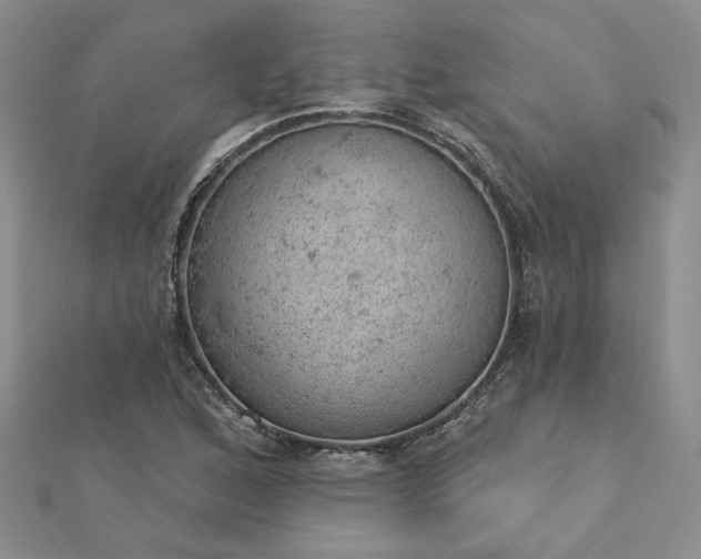 X0000112781168200908271657