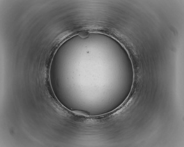 X0000112781169200908271657