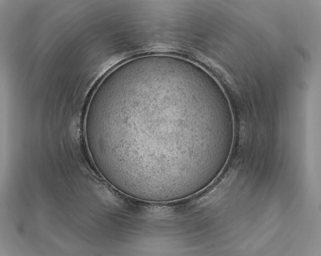 X0000112781170200908271657