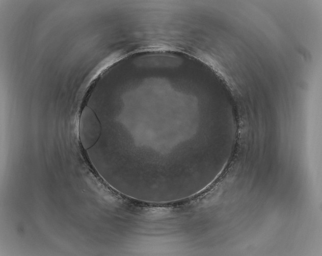 X0000112781173200908271657