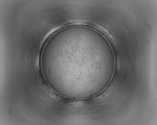 X0000112781174200908271657