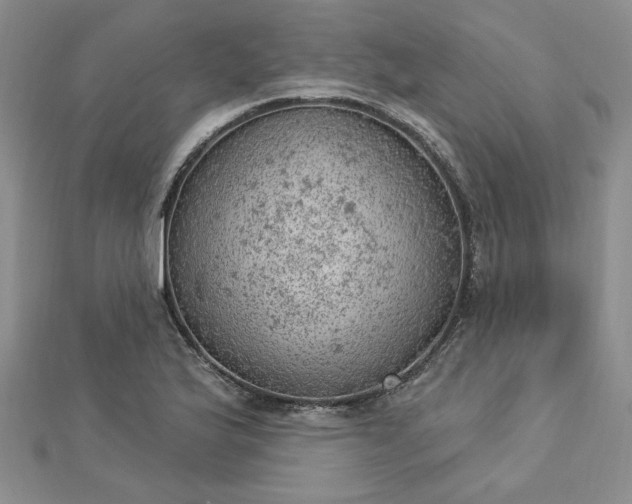 X0000112781175200908271657