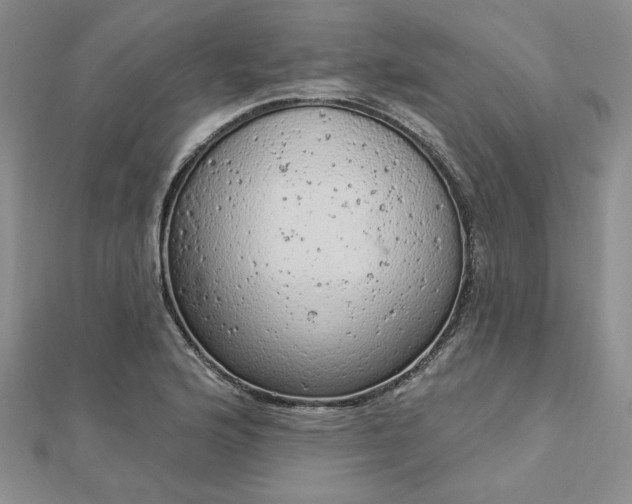 X0000112781176200908271657