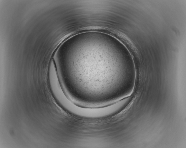 X0000112781177200908271657