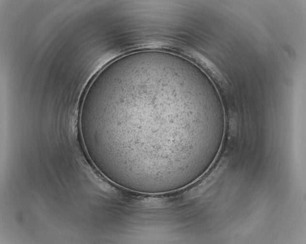 X0000112781178200908271657