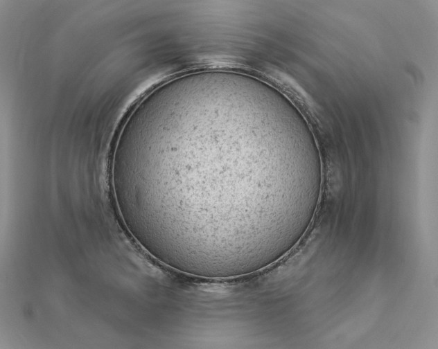 X0000112781182200908271657