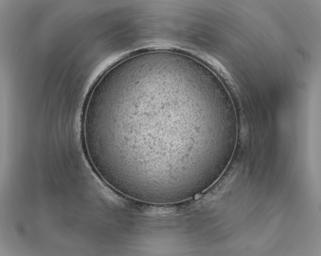 X0000112781183200908271657