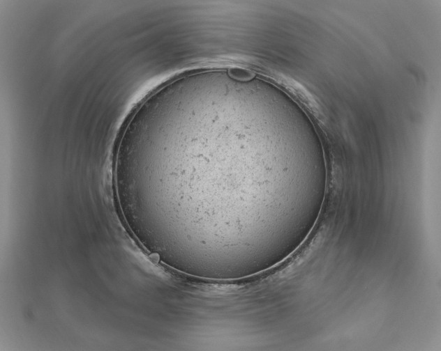 X0000112781184200908271657