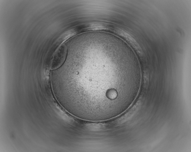 X0000112781185200908271657