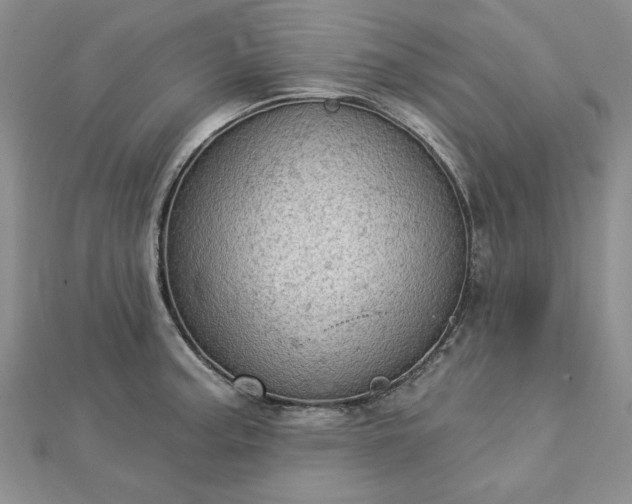 X0000112781187200908271657