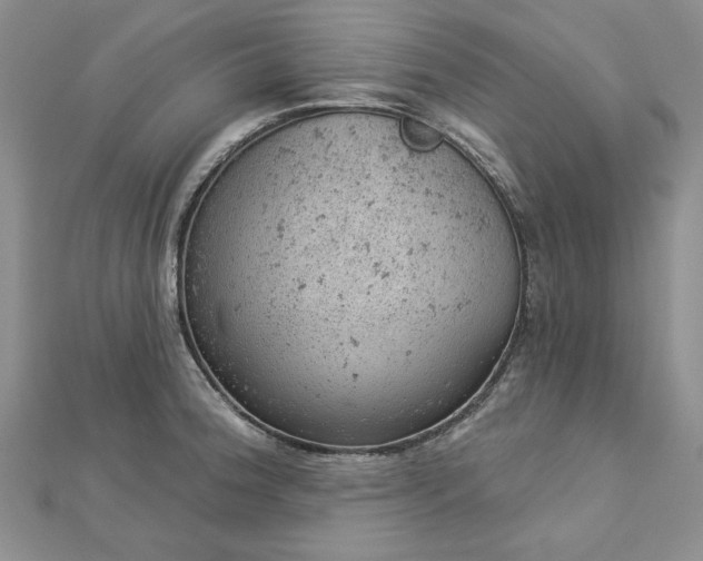 X0000112781188200908271657