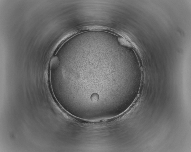 X0000112781189200908271657