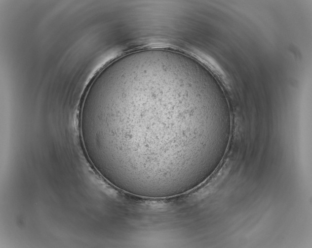 X0000112781190200908271657