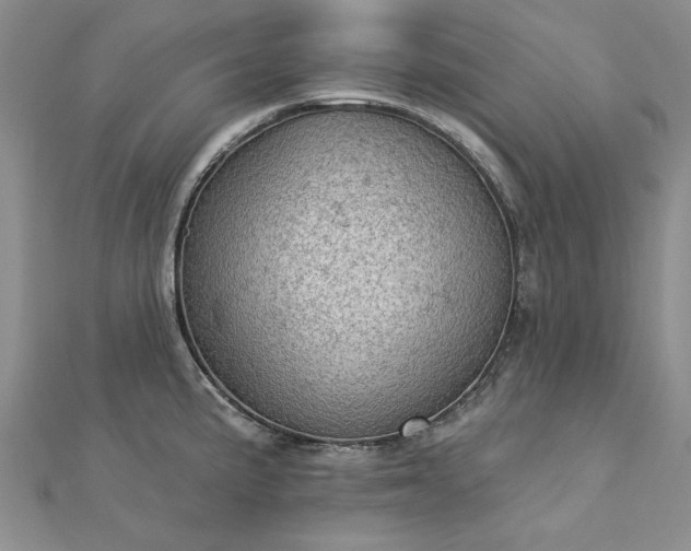 X0000112781191200908271657