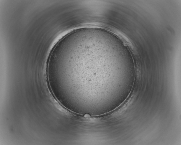 X0000112781192200908271656