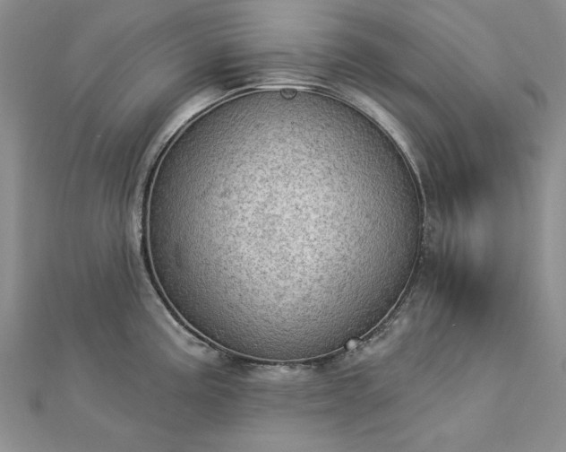 X0000112781195200908271656