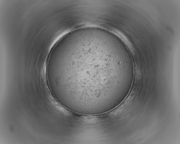 X0000112781198200908271656