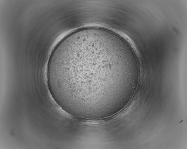 X0000112781199200908271656