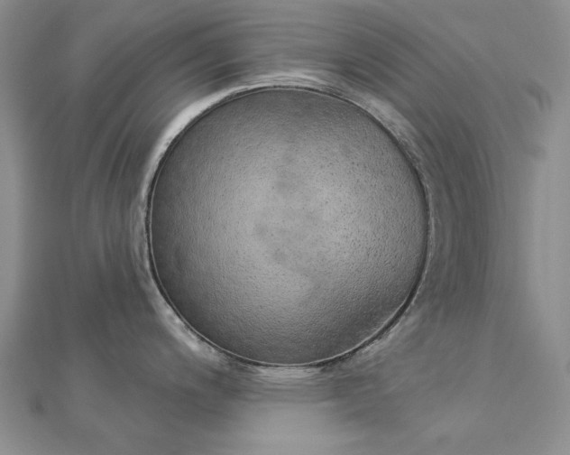 X0000112781200200908271656