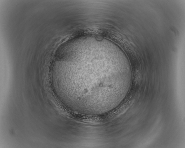 X0000112781201200908271656