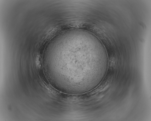 X0000112781202200908271656