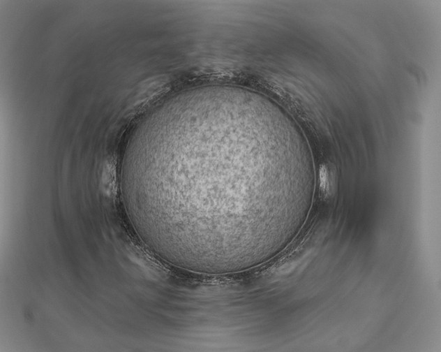 X0000112781203200908271656