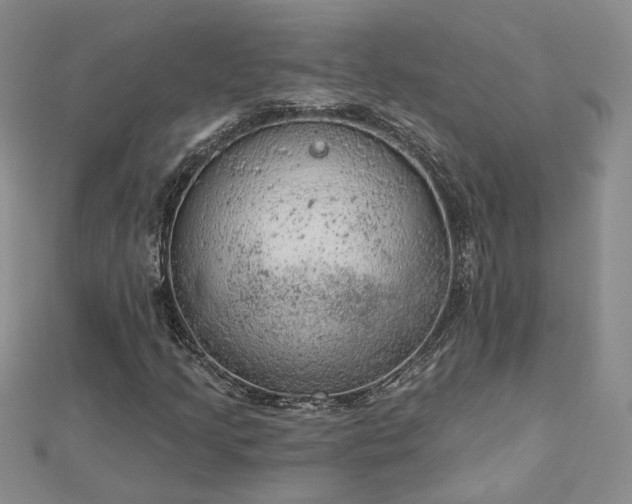 X0000112781205200908271656