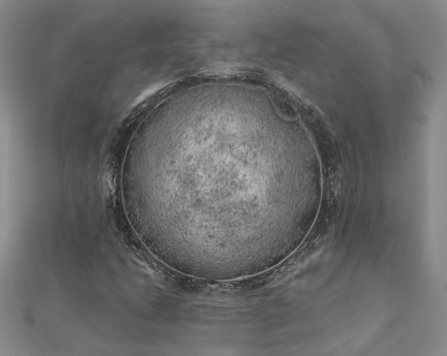 X0000112781206200908271656