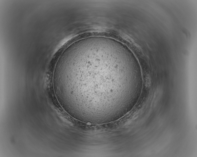 X0000112781208200908271656