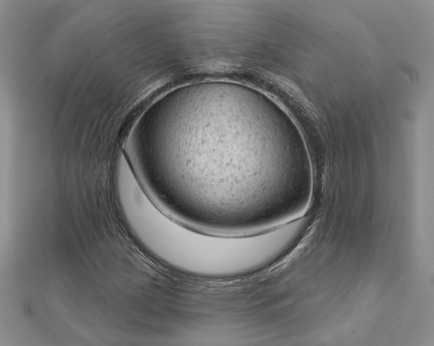 X0000112781209200908271656