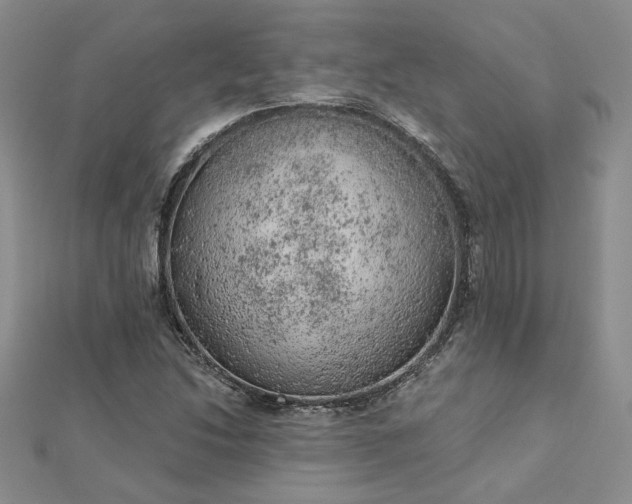 X0000112781214200908271656