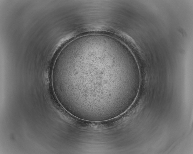 X0000112781218200908271656