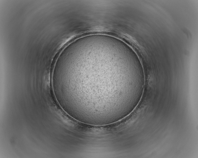 X0000112781220200908271656