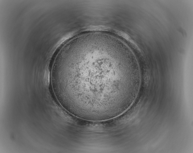 X0000112781221200908271656