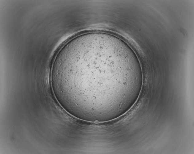 X0000112781224200908271656