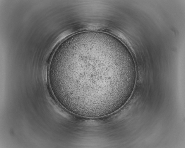 X0000112781227200908271656