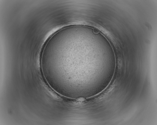 X0000112781230200908271656