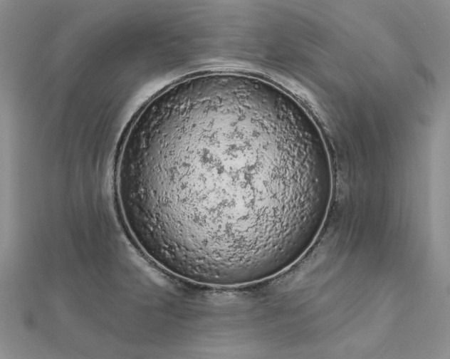 X0000112781231200908271656