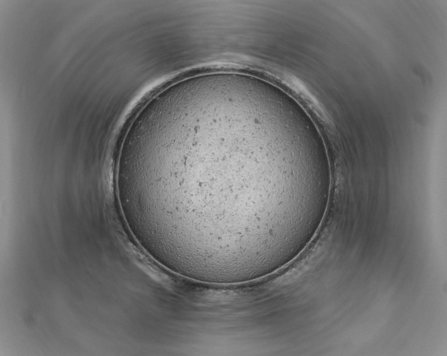 X0000112781232200908271656