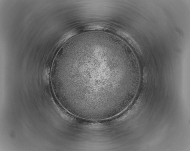 X0000112781233200908271656