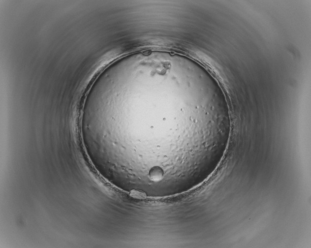 X0000112781235200908271656