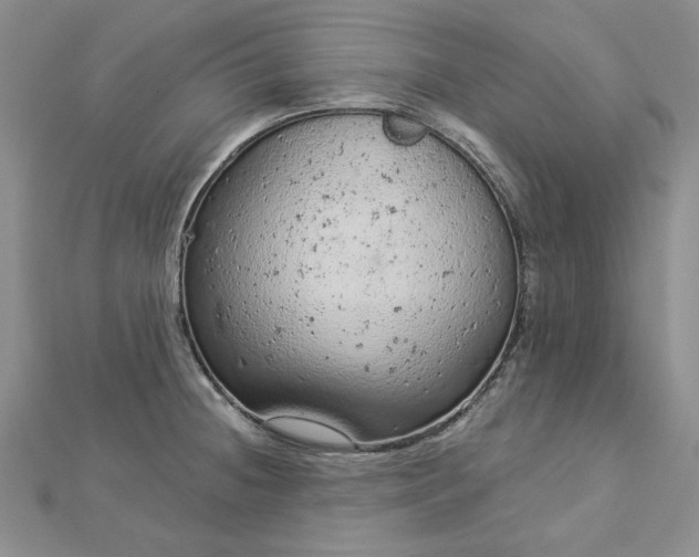 X0000112781236200908271656