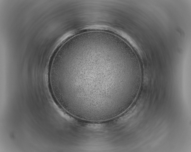 X0000112781237200908271656