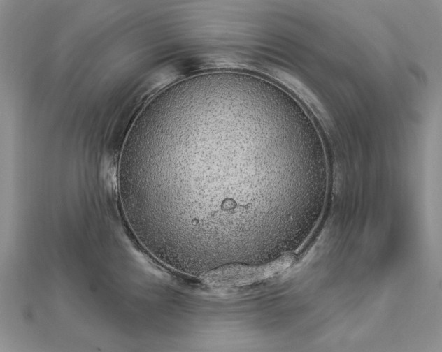 X0000112781241200908271656